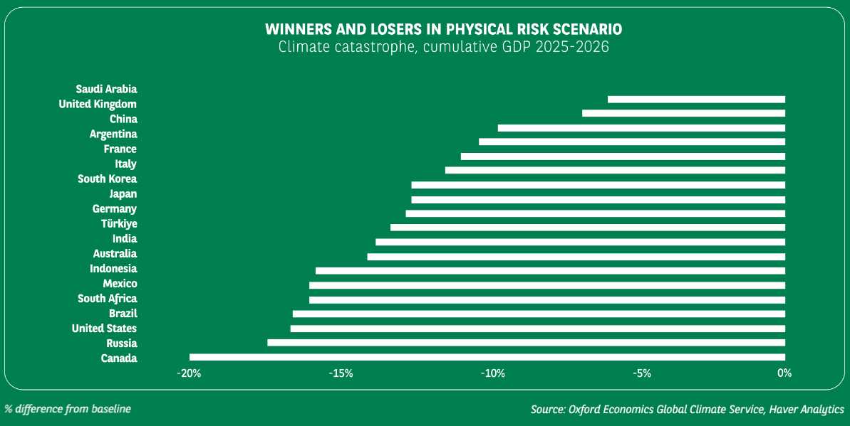 The winners and losers of a climate transition: Where PE and VC players come in